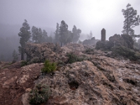 W drodze na Pico de Las Nieves